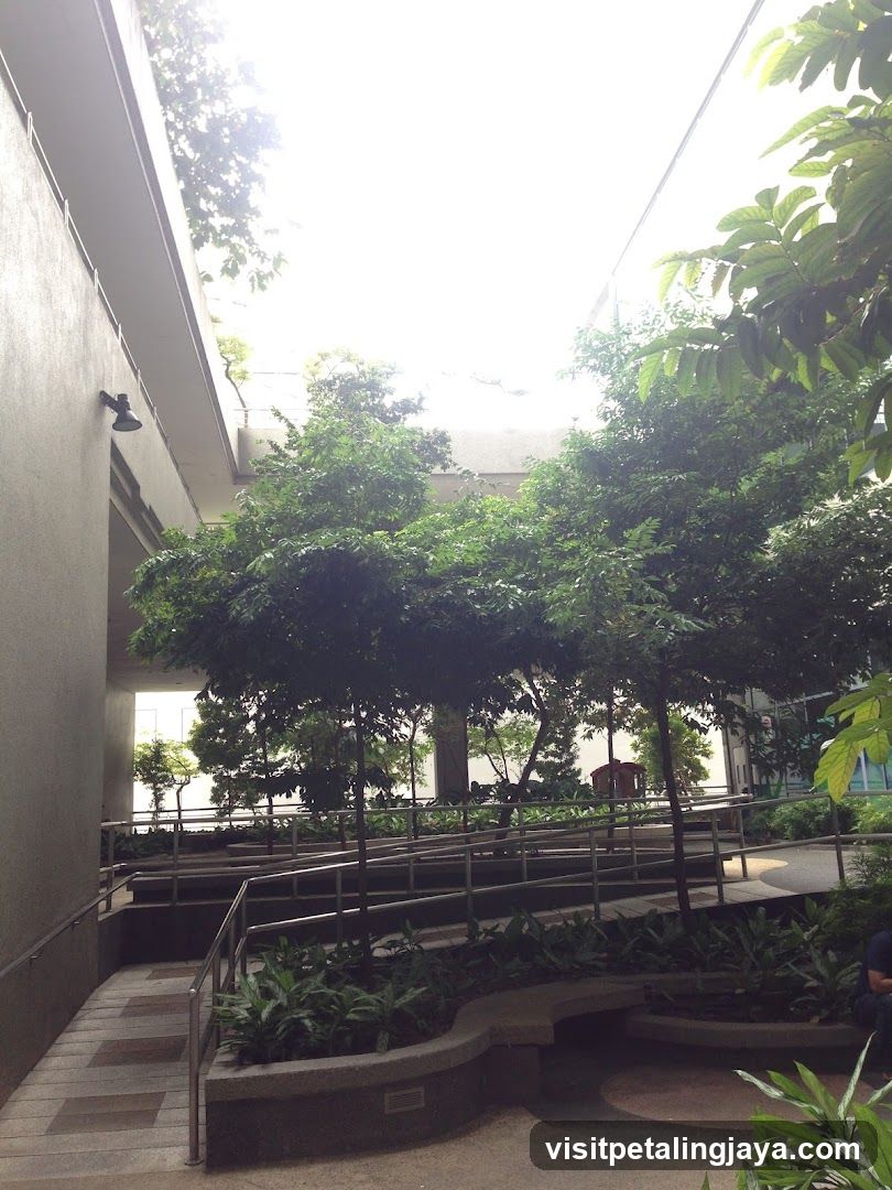 Courtyard Garden Scene