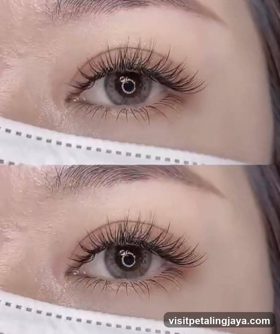 Brow&Co