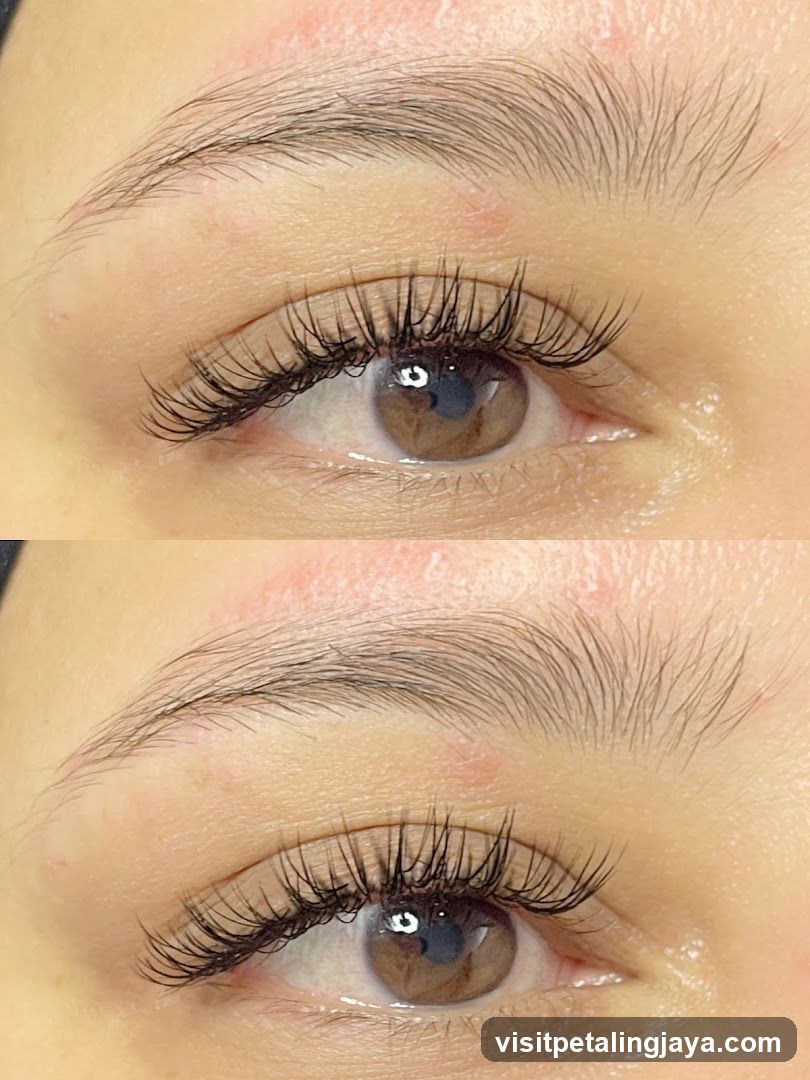 Brow&Co