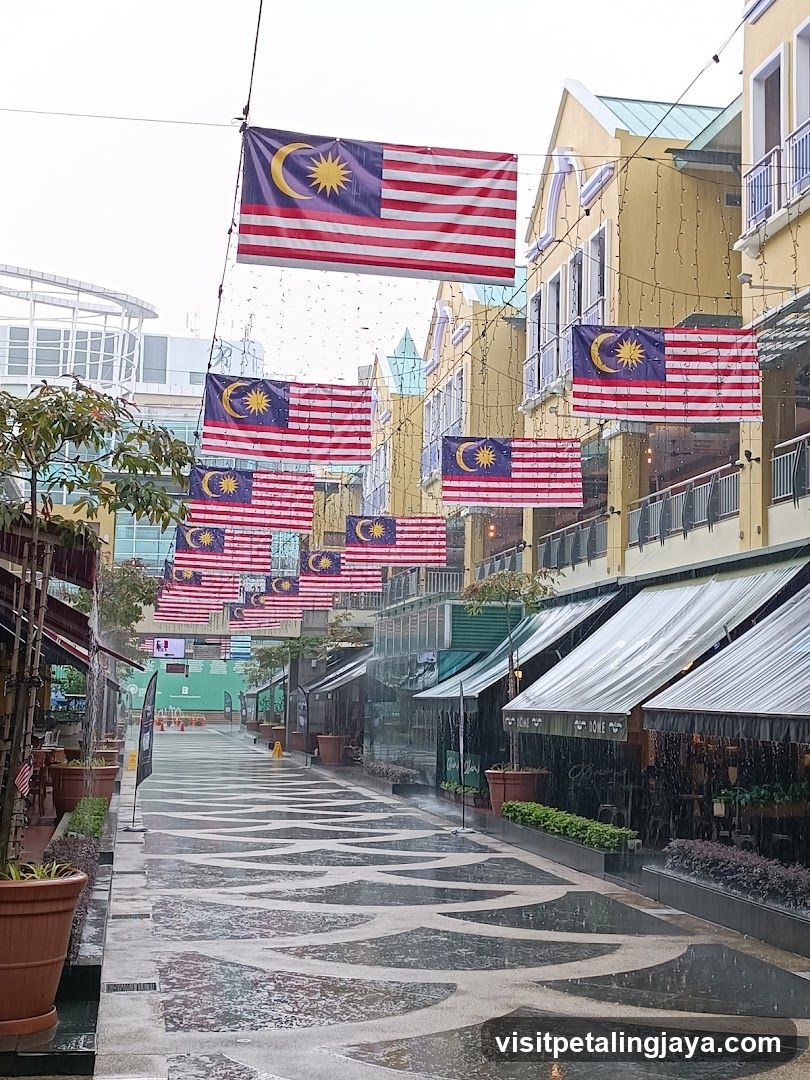Malaysian flags hanging in rain
