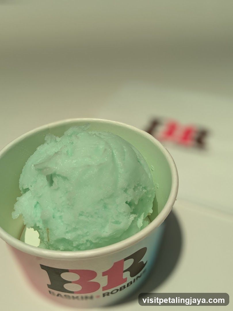 Baskin Robbins Ice Cream Cup