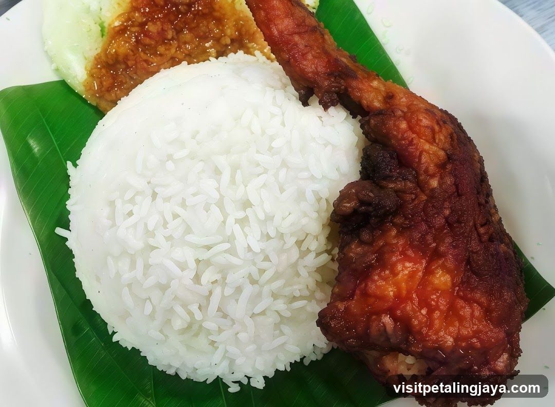 Fried Chicken with Rice