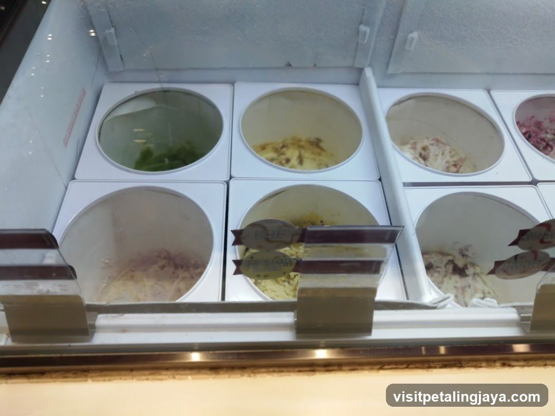 Ice Cream Display Case