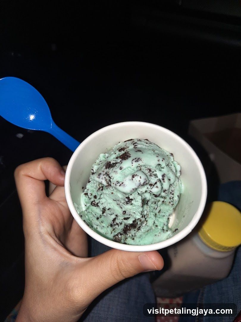 Mint Chip Ice Cream Cup