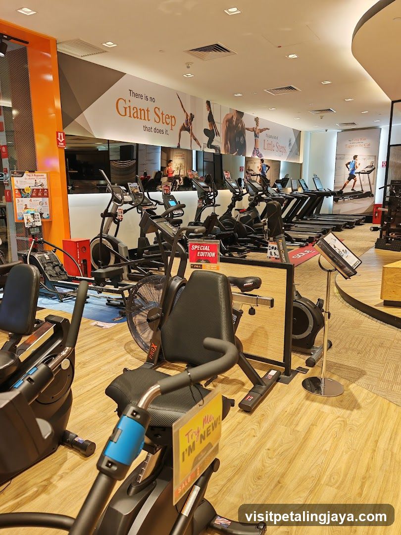 Gym Interior with Exercise Equipment