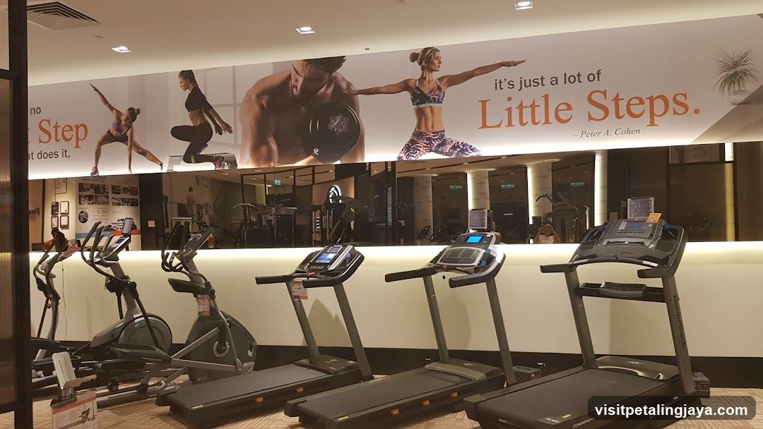 Fitness Center Interior with Treadmills and Exercise Equipment