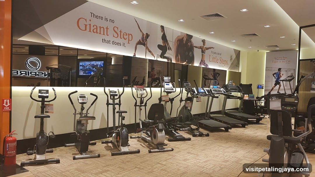 Gym Interior with Equipment and Wall Art