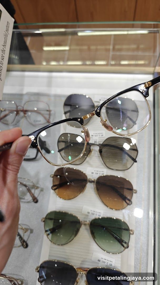 Glasses Display Case