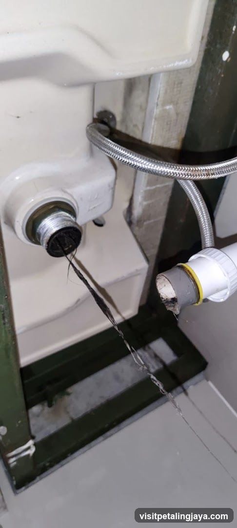 AlphaWater - Toilet, Sink, Drain Unclogging & Plumbing Service
