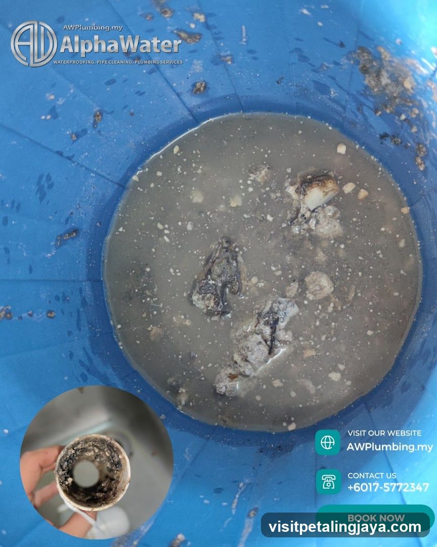Plumbing Service Advertisement with Water Filtration Evidence