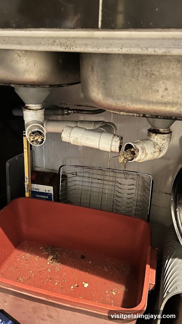 Under-sink area with plumbing and storage bin