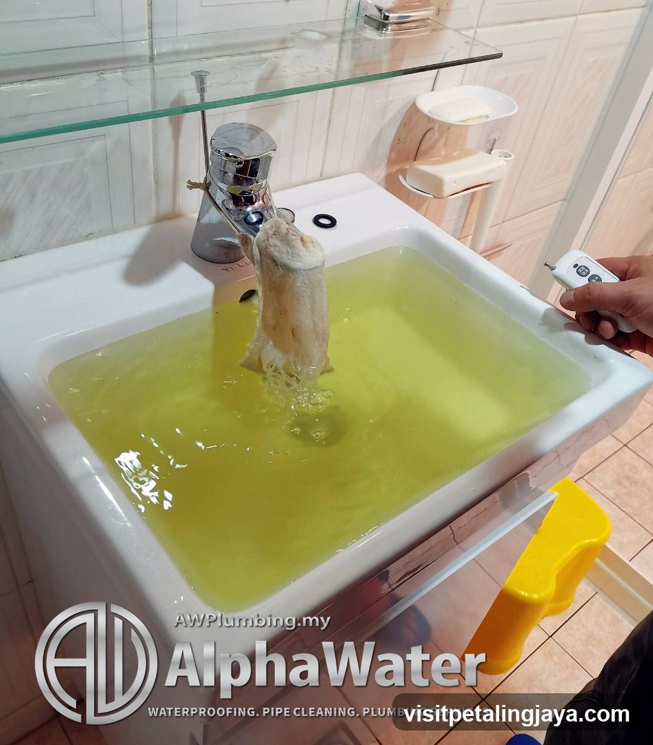 Plumbing Service Demonstration