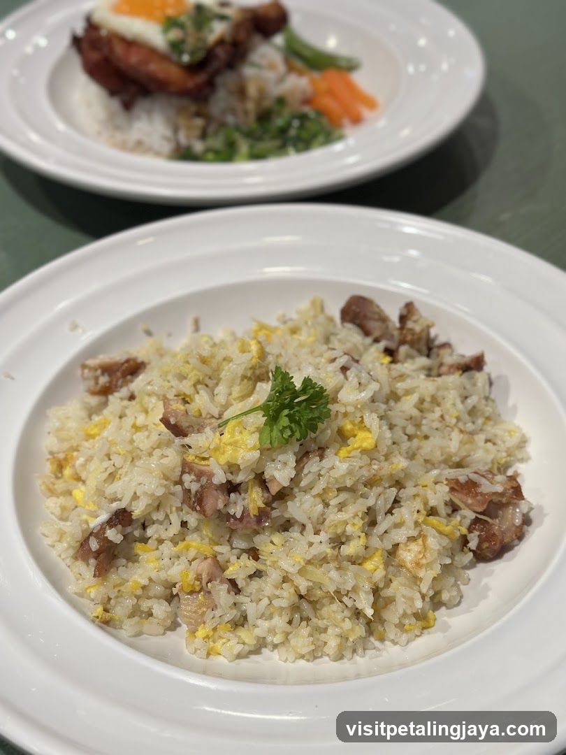 Food Dish