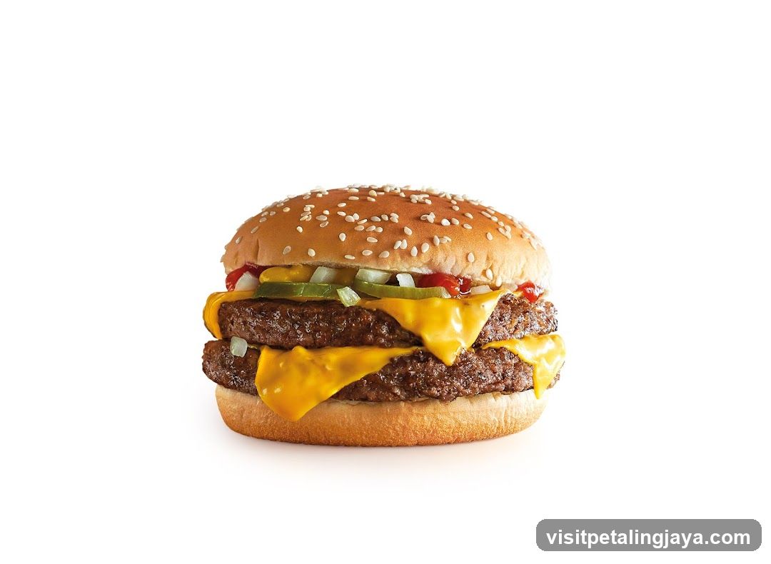 Cheeseburger with Pickles and Ketchup