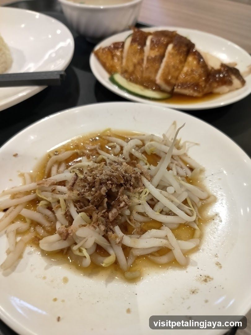 Food Plate with Bean Sprouts and Chicken
