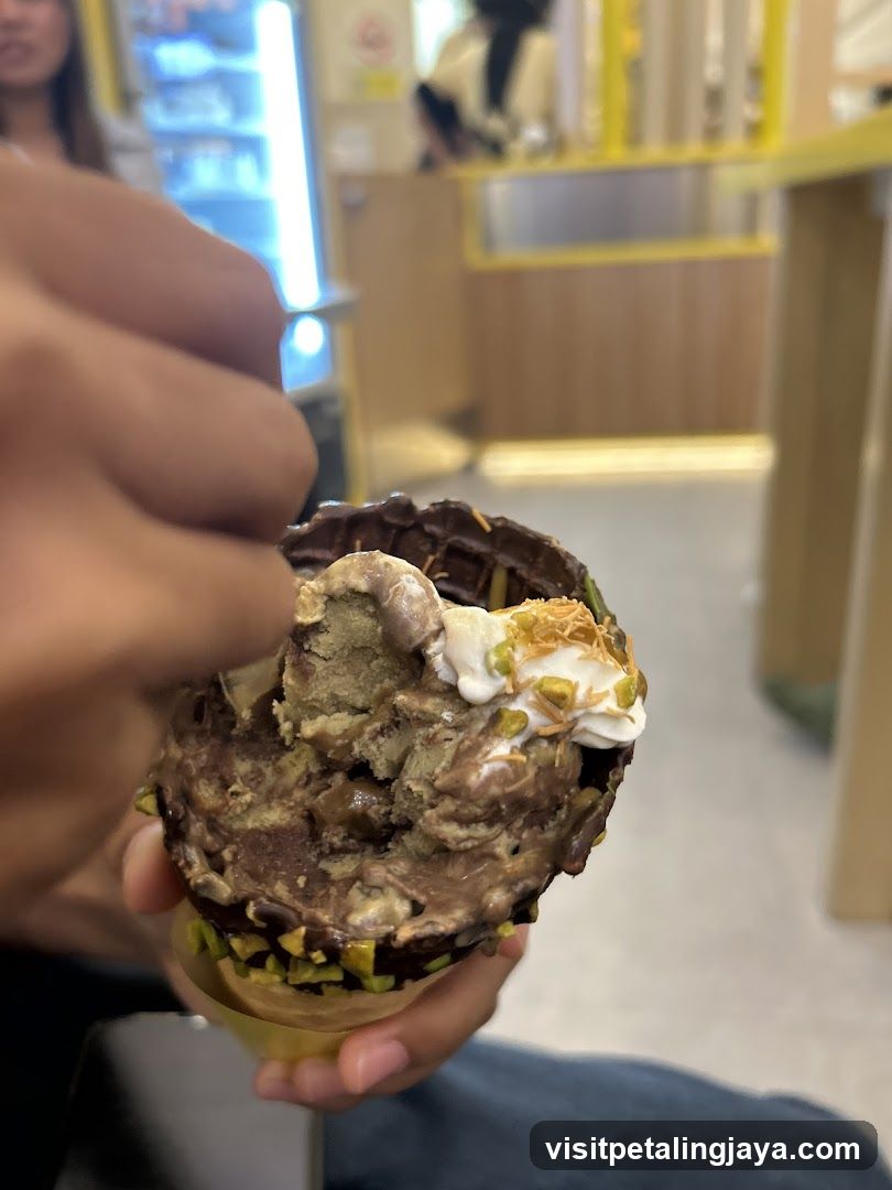 Chocolate Ice Cream Cone