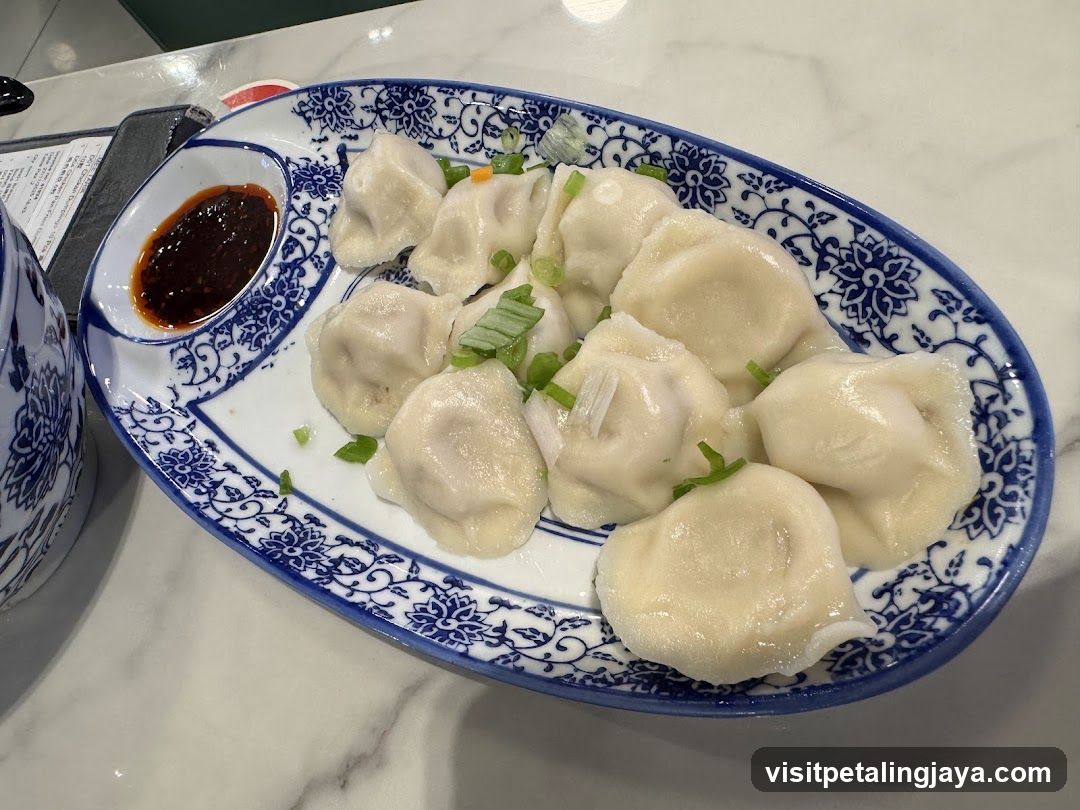 Dumplings and Sauce on Plate