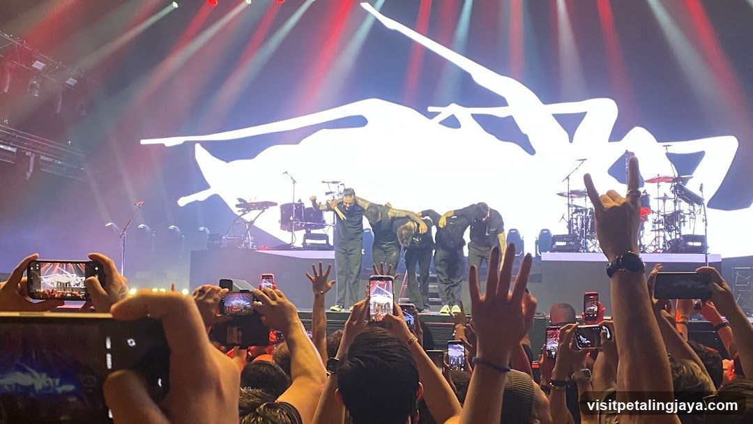 Live Concert Crowd