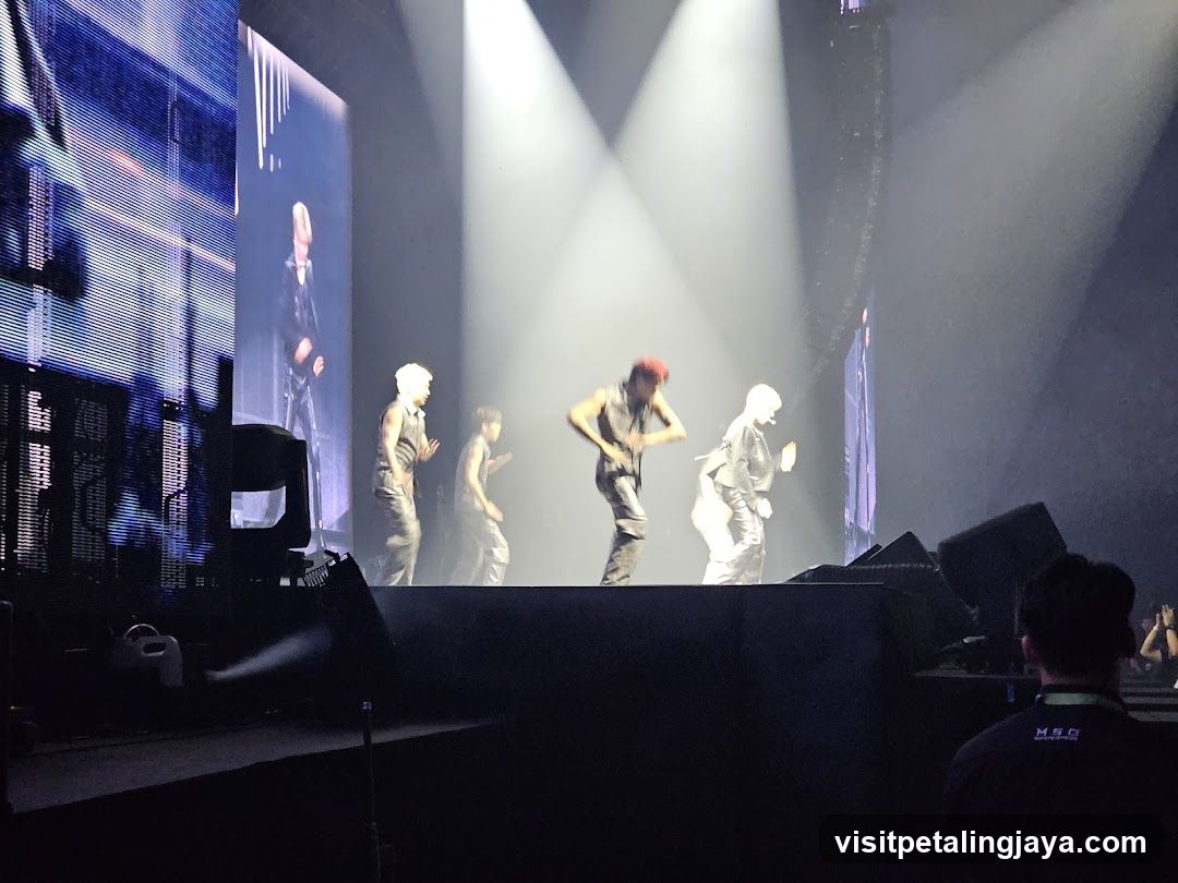 Concert Performance