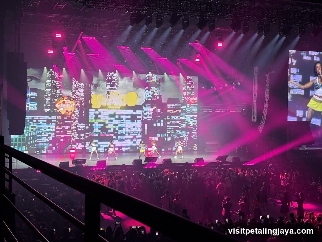 Concert Stage Performance