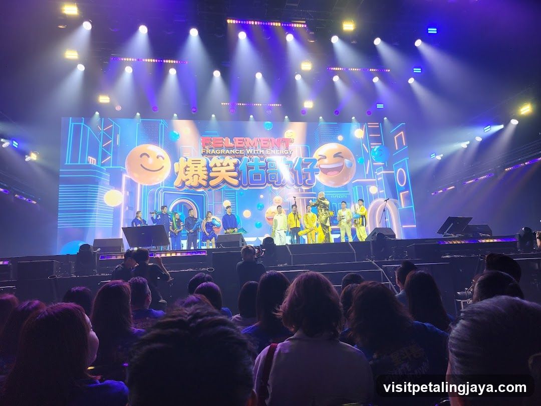Stage Performance with Crowd
