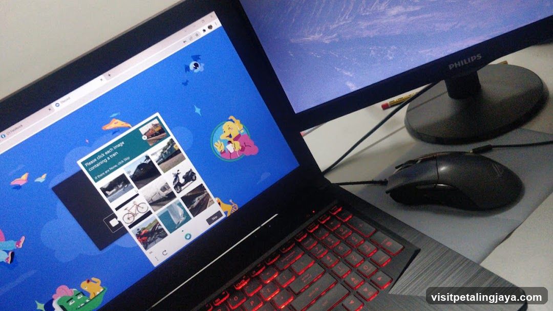 Laptop and Monitor Setup