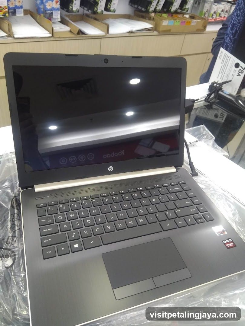 HP Laptop Display