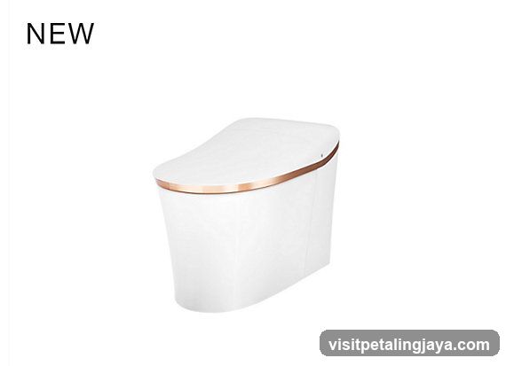 New Smart Toilet