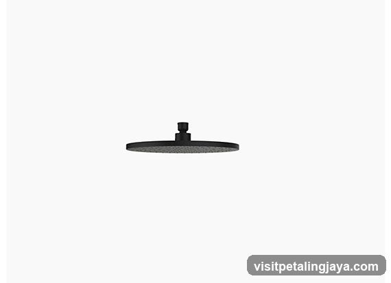 Black Shower Head