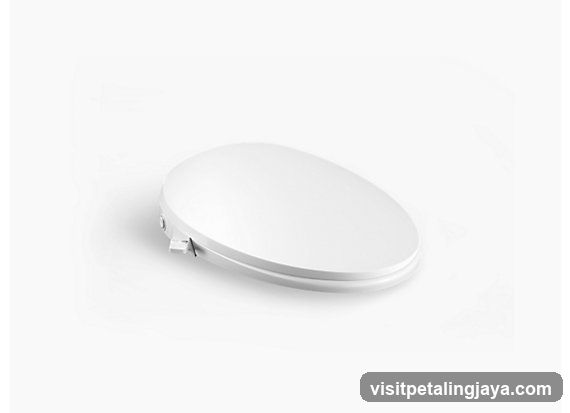 White Toilet Seat
