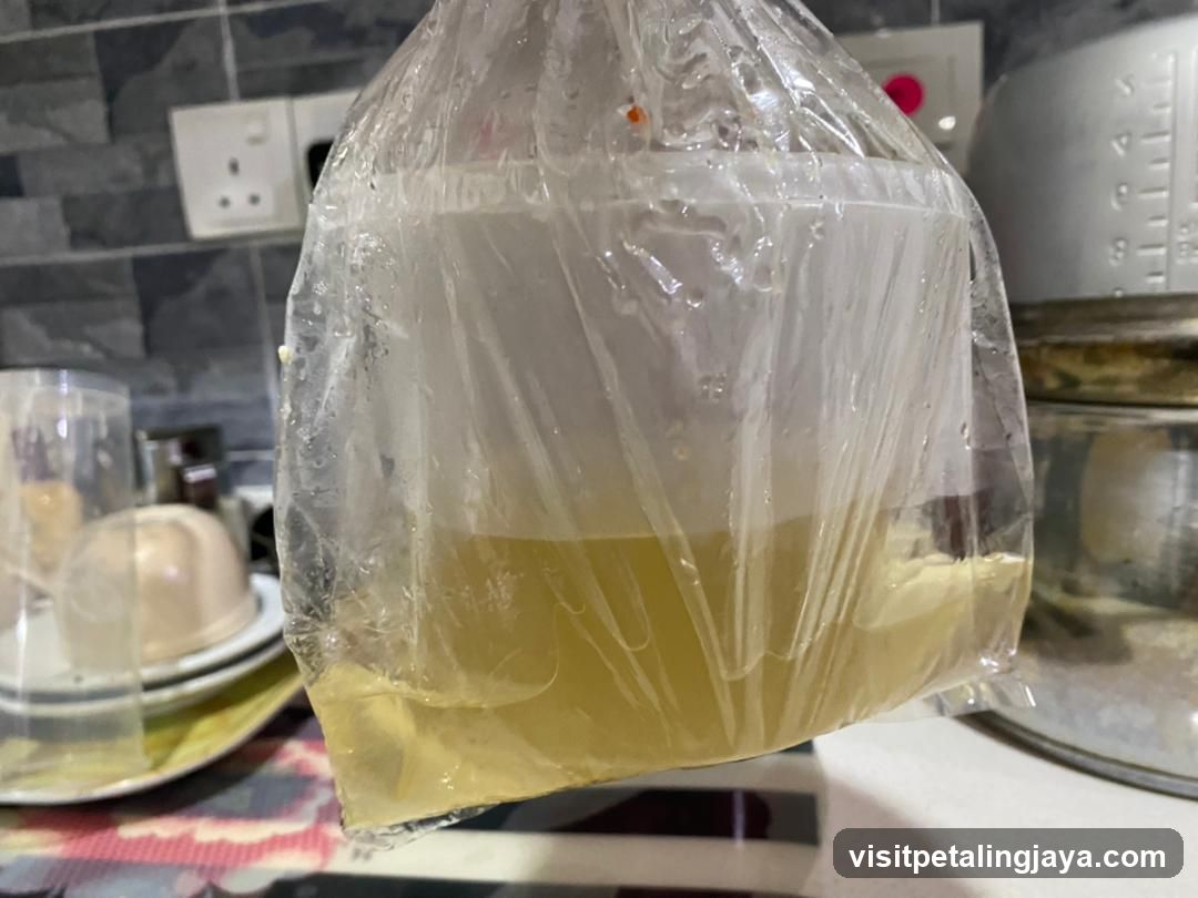 Plastic Bag with Liquid