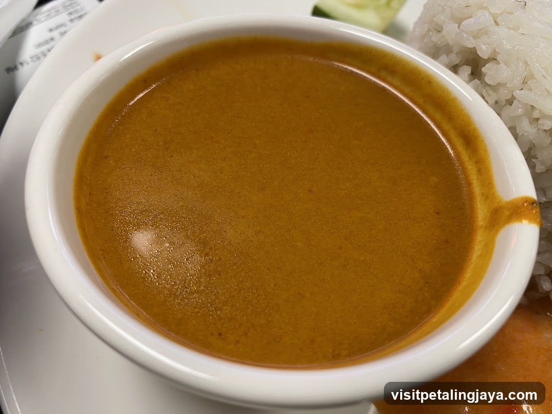 Curry Sauce Bowl with Rice