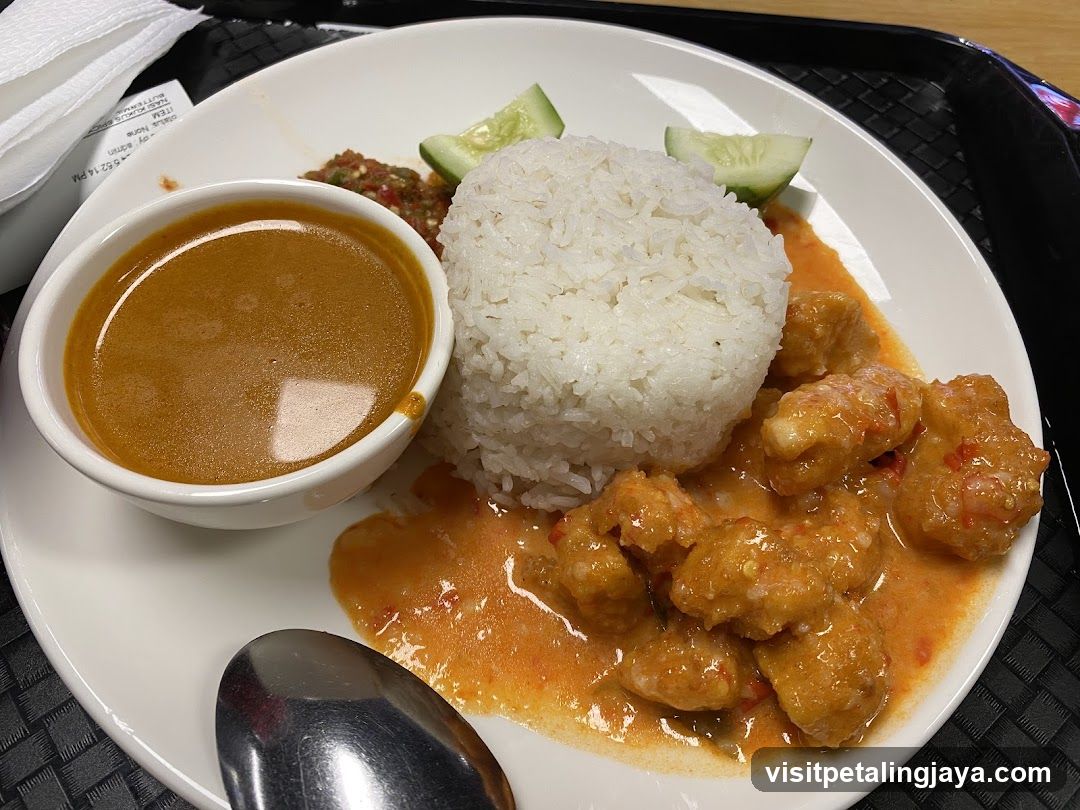 Curry Chicken Rice Plate