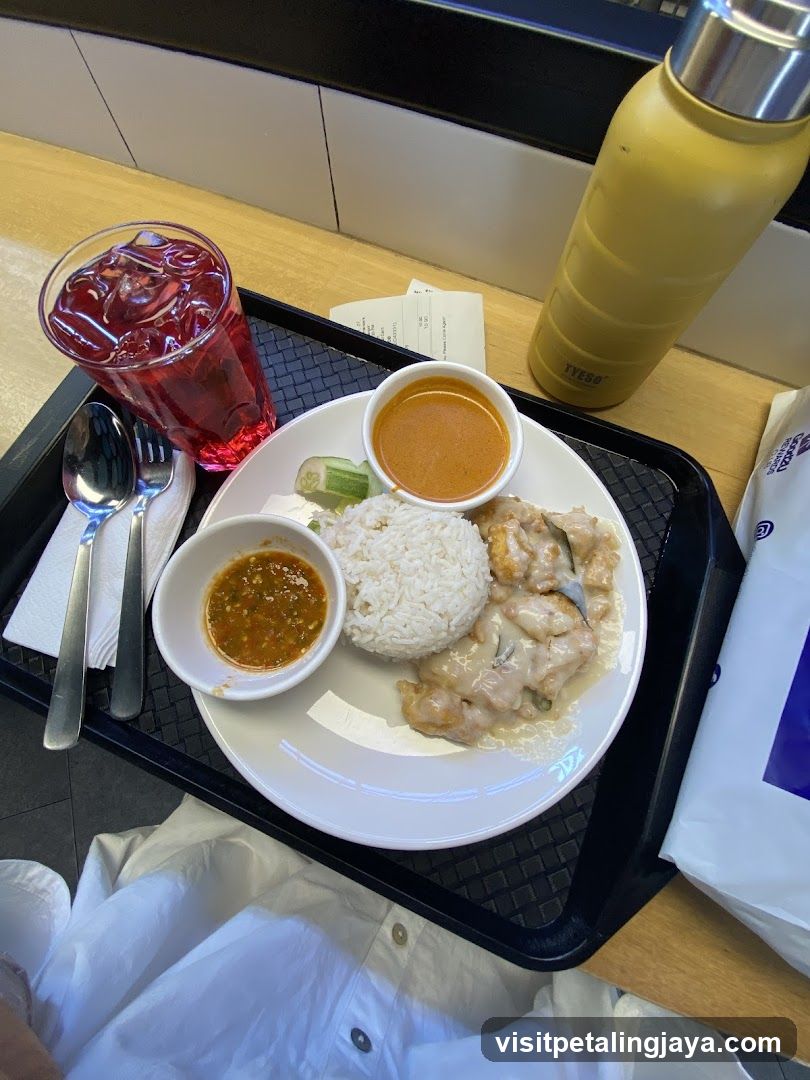 Food Tray with Curry and Rice