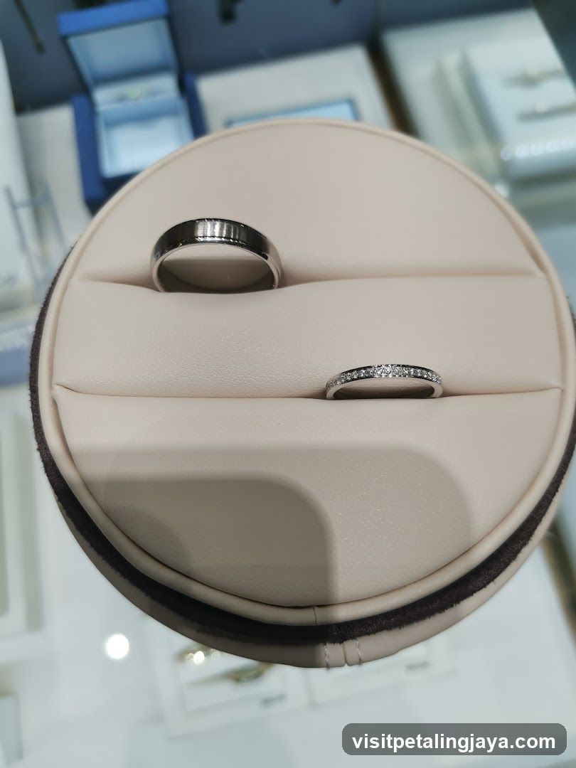 Rings in display case