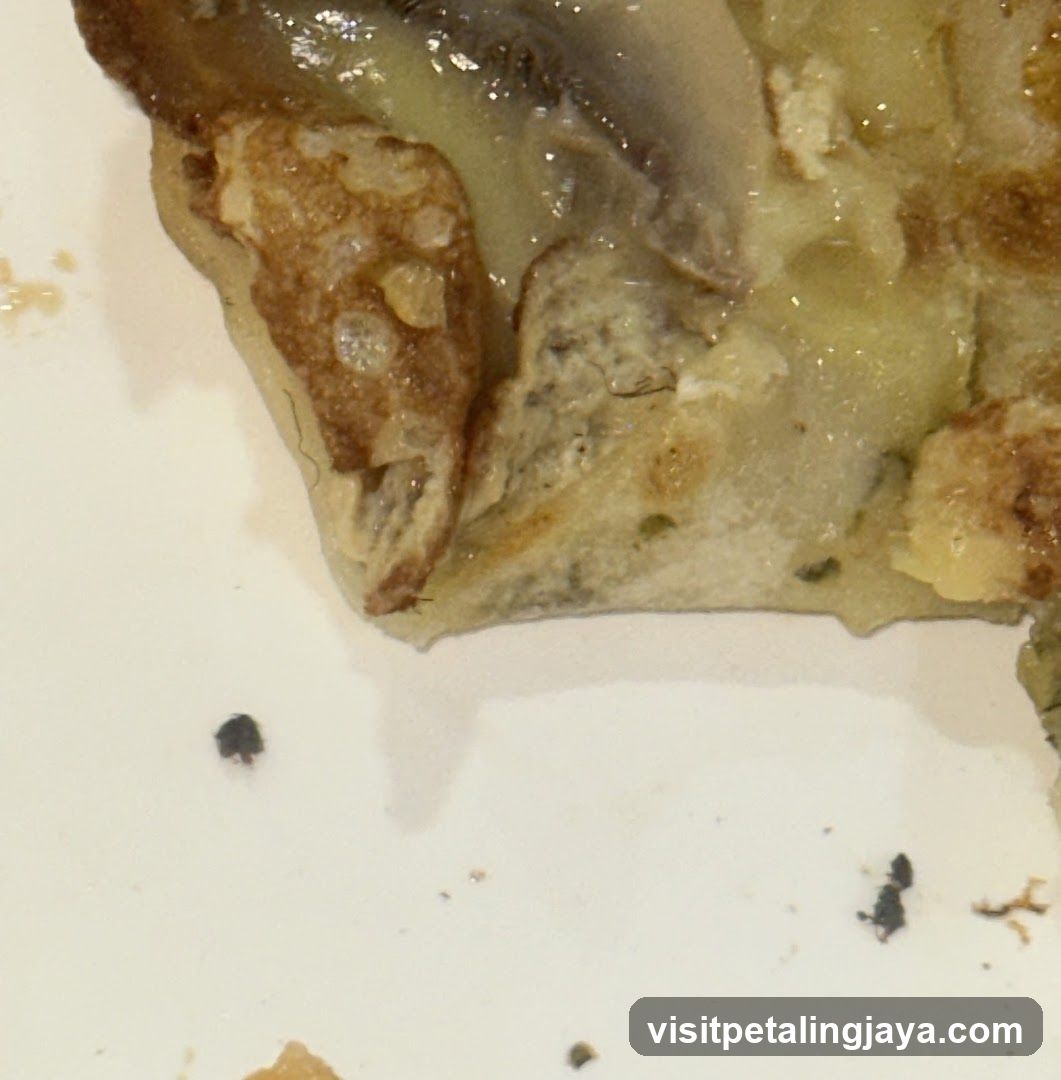 Food Fragment