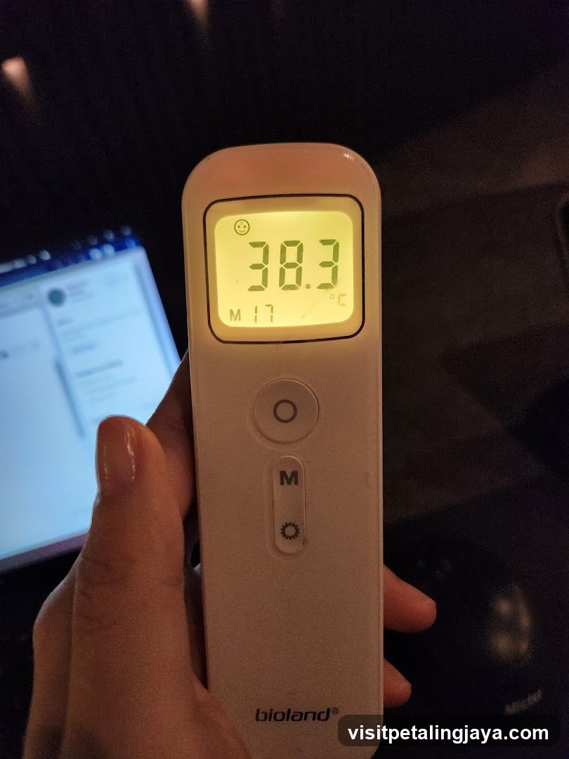 Thermometer Display