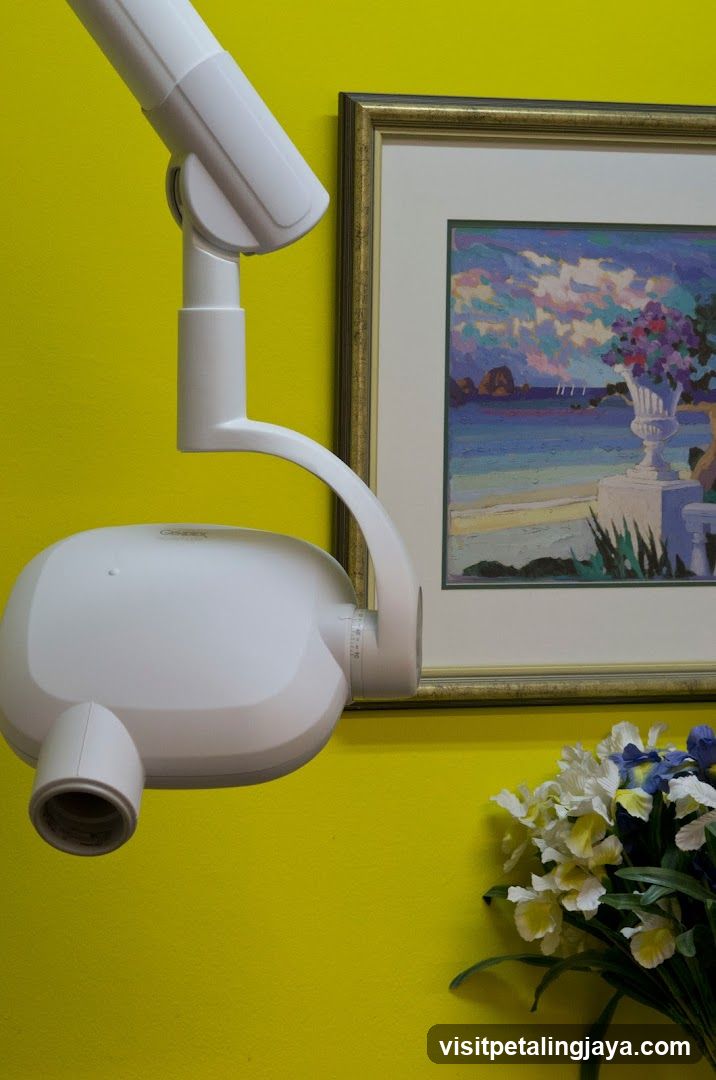 Dental Chair and Wall Art