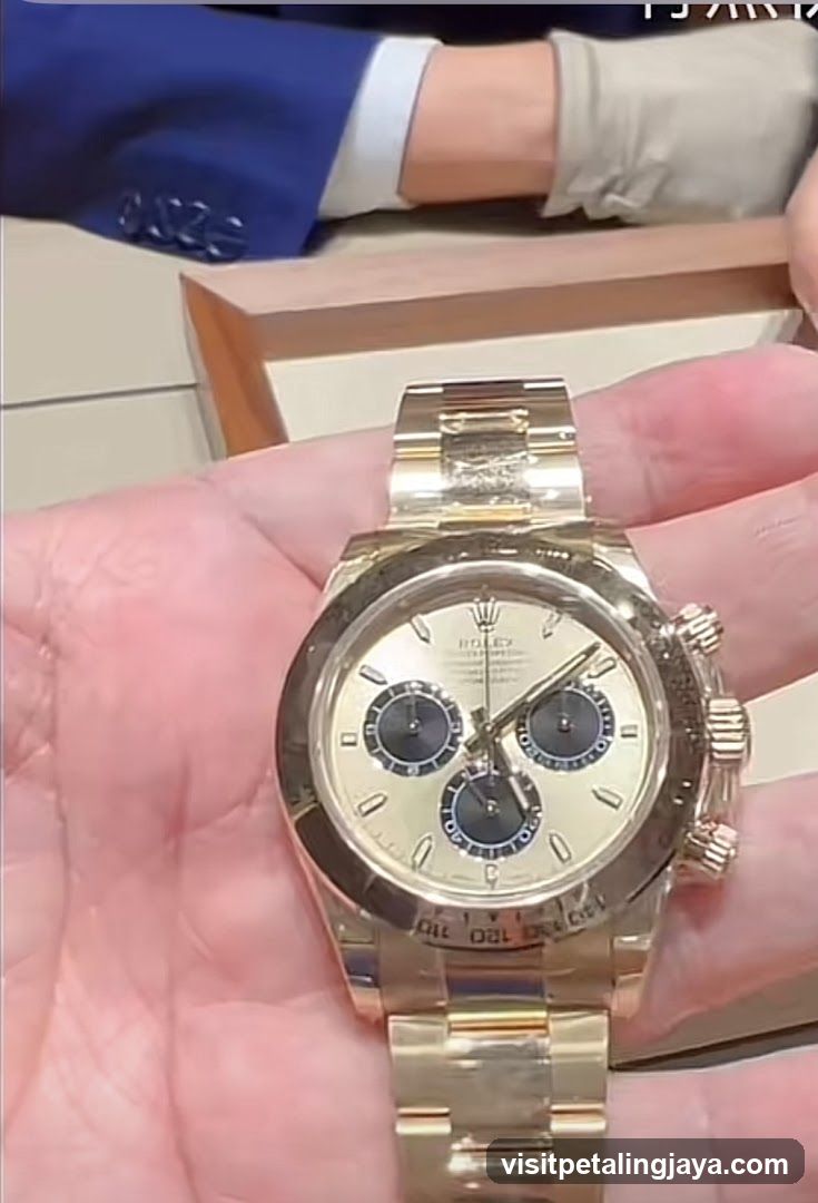 Luxury Watch Display
