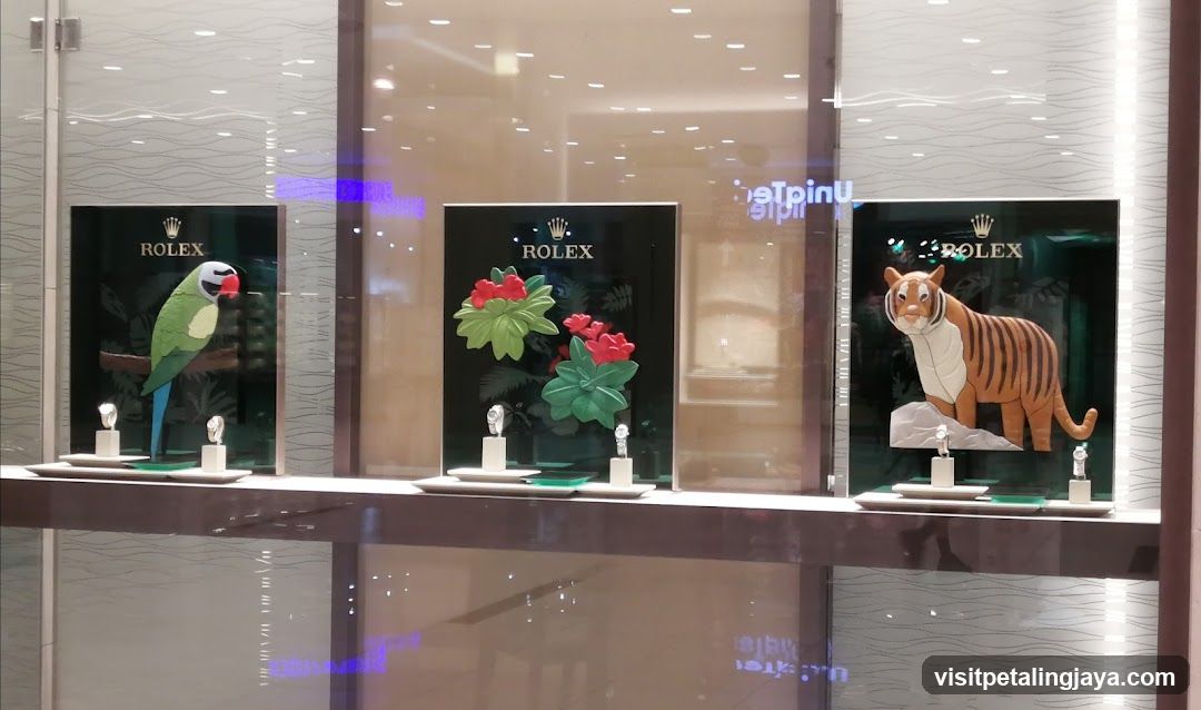 Rolex Watch Display Window