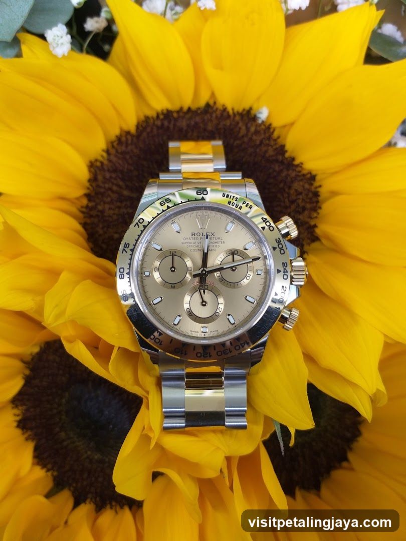 Rolex Daytona on Sunflower