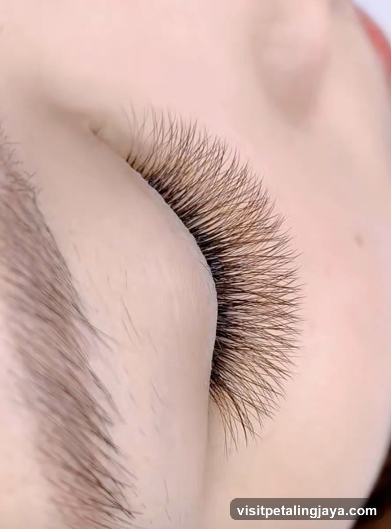 Close-up of eyelashes and eyebrow