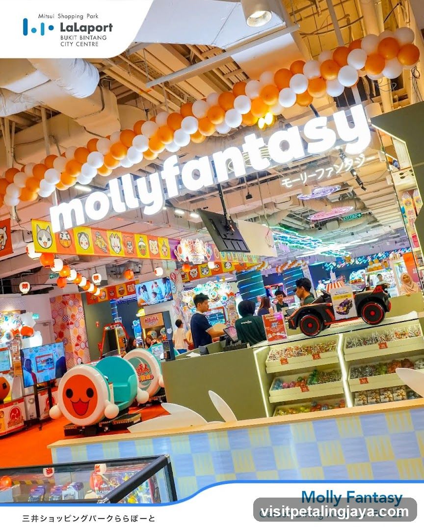 Molly Fantasy Interior View