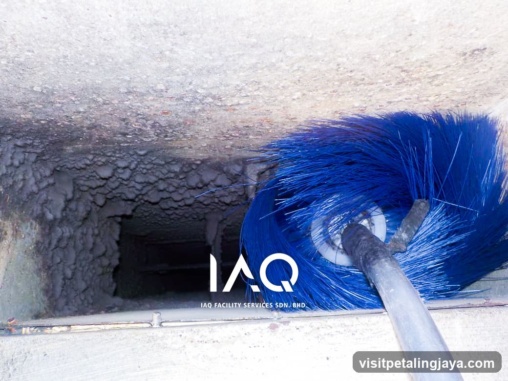 Drain Cleaning with Blue Bristle Brush