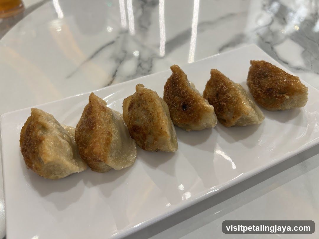 Pan-Fried Dumplings on a White Plate