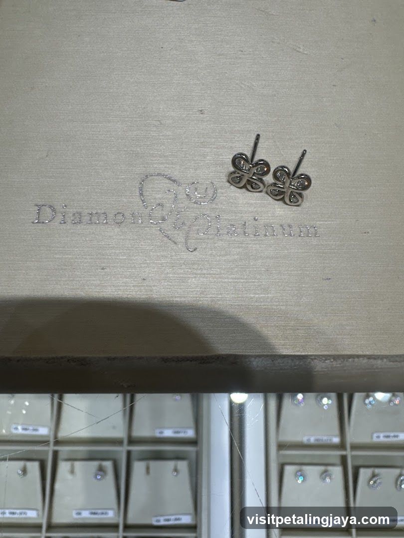 Jewelry Display with Earrings