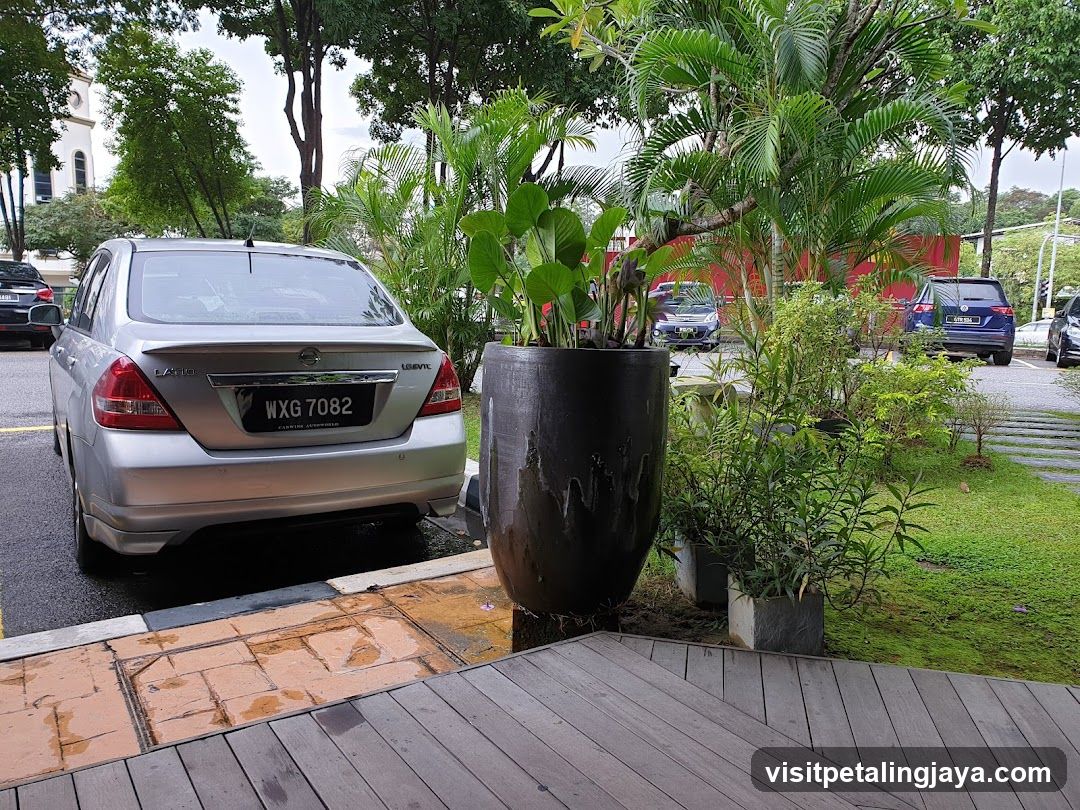 Silver Car Parked Near Greenery