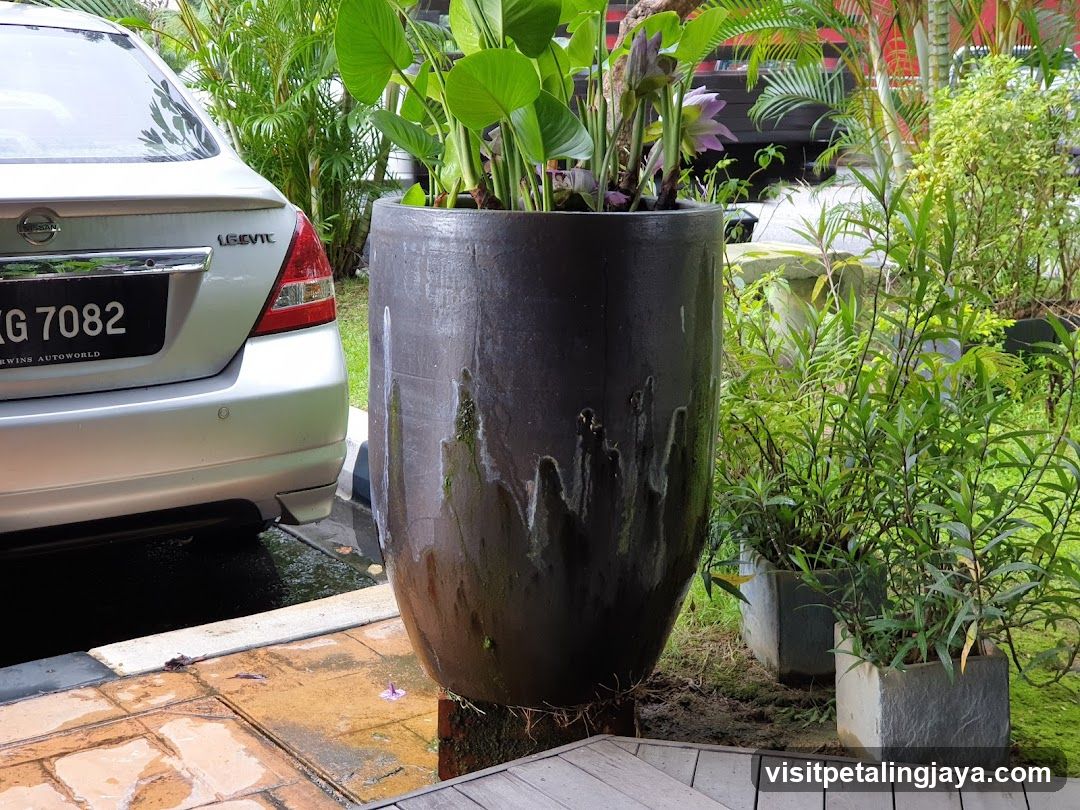 Garden Scene with Car and Potted Plants