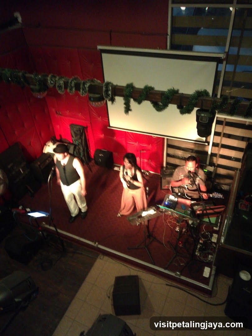 Live Band Performance