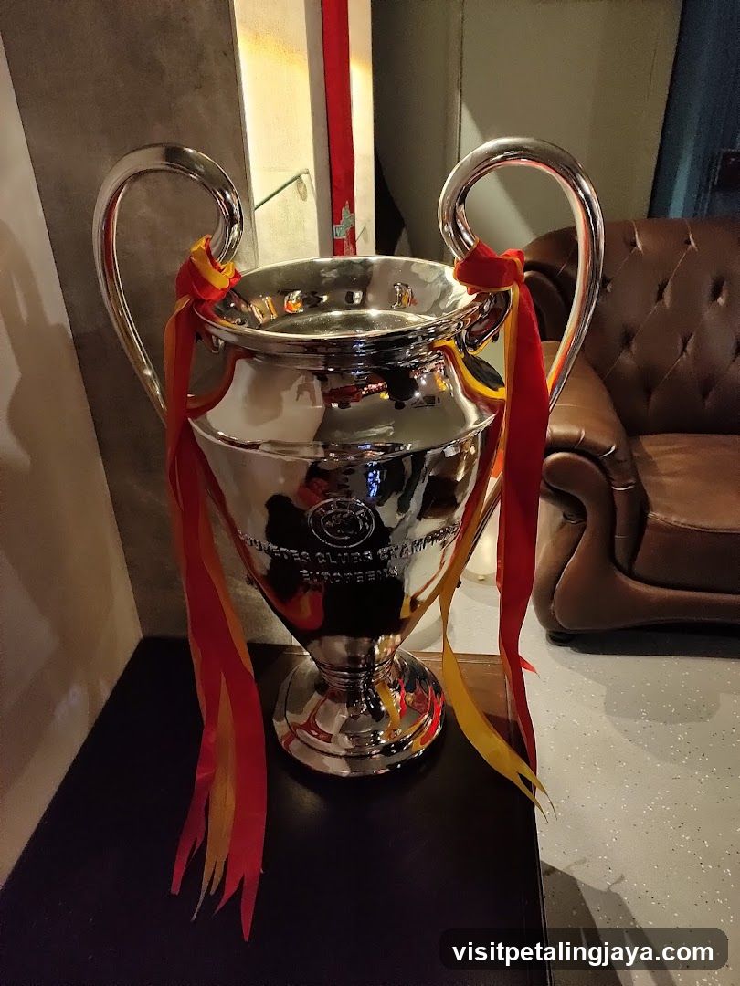 Champions League Trophy Display
